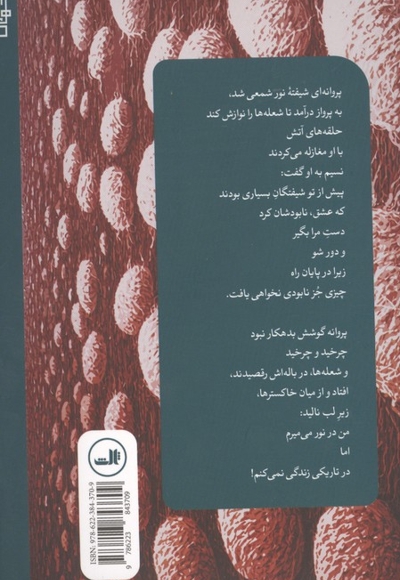 مانیفست پروانه